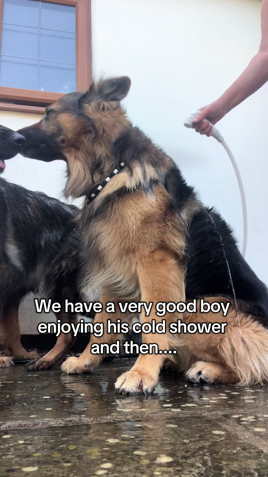 @TheGSDhubwithjennygould