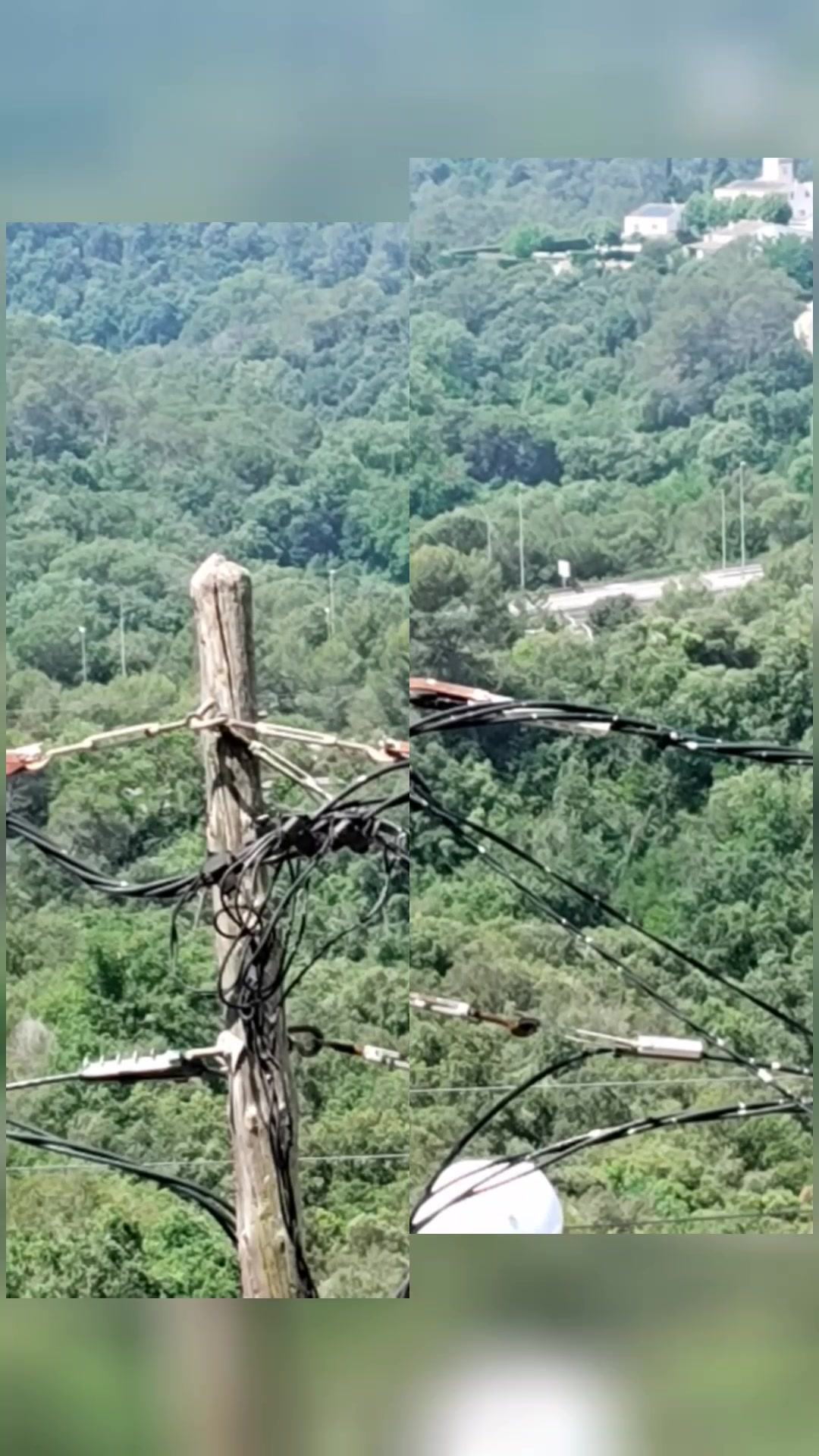 @El expreso de JULIO$