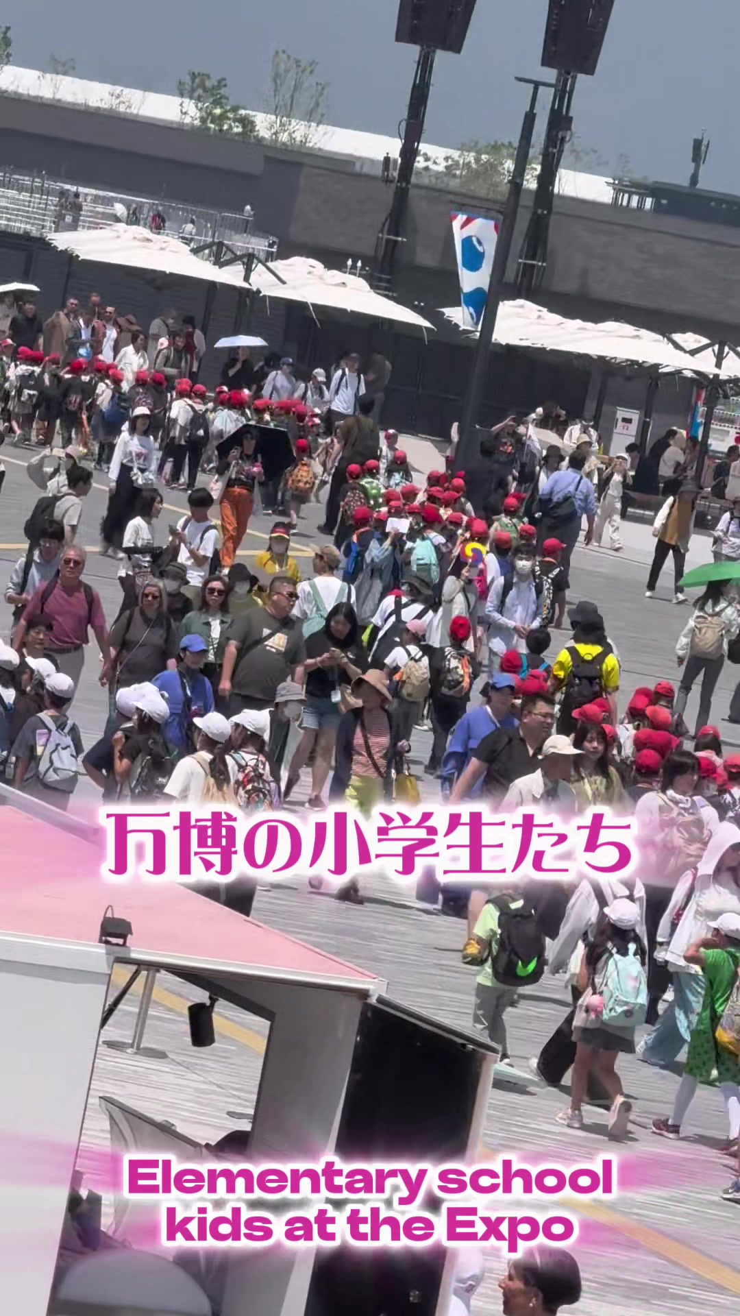 @Osaka Reels