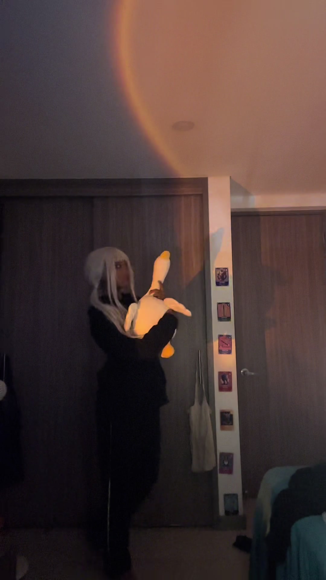 @gekkooooooooooo