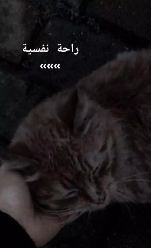 @هيما🫦