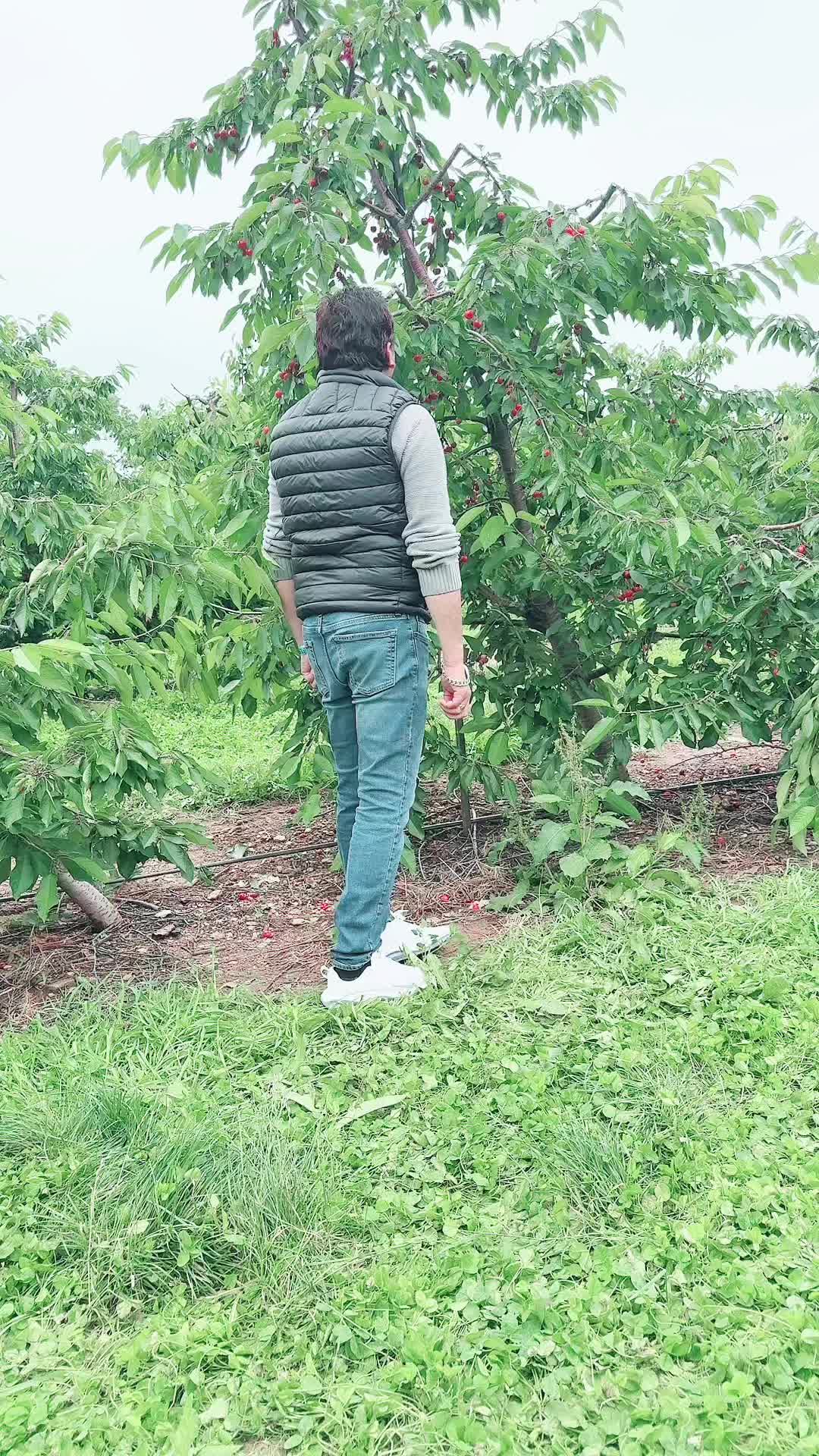@Raj Kashyap