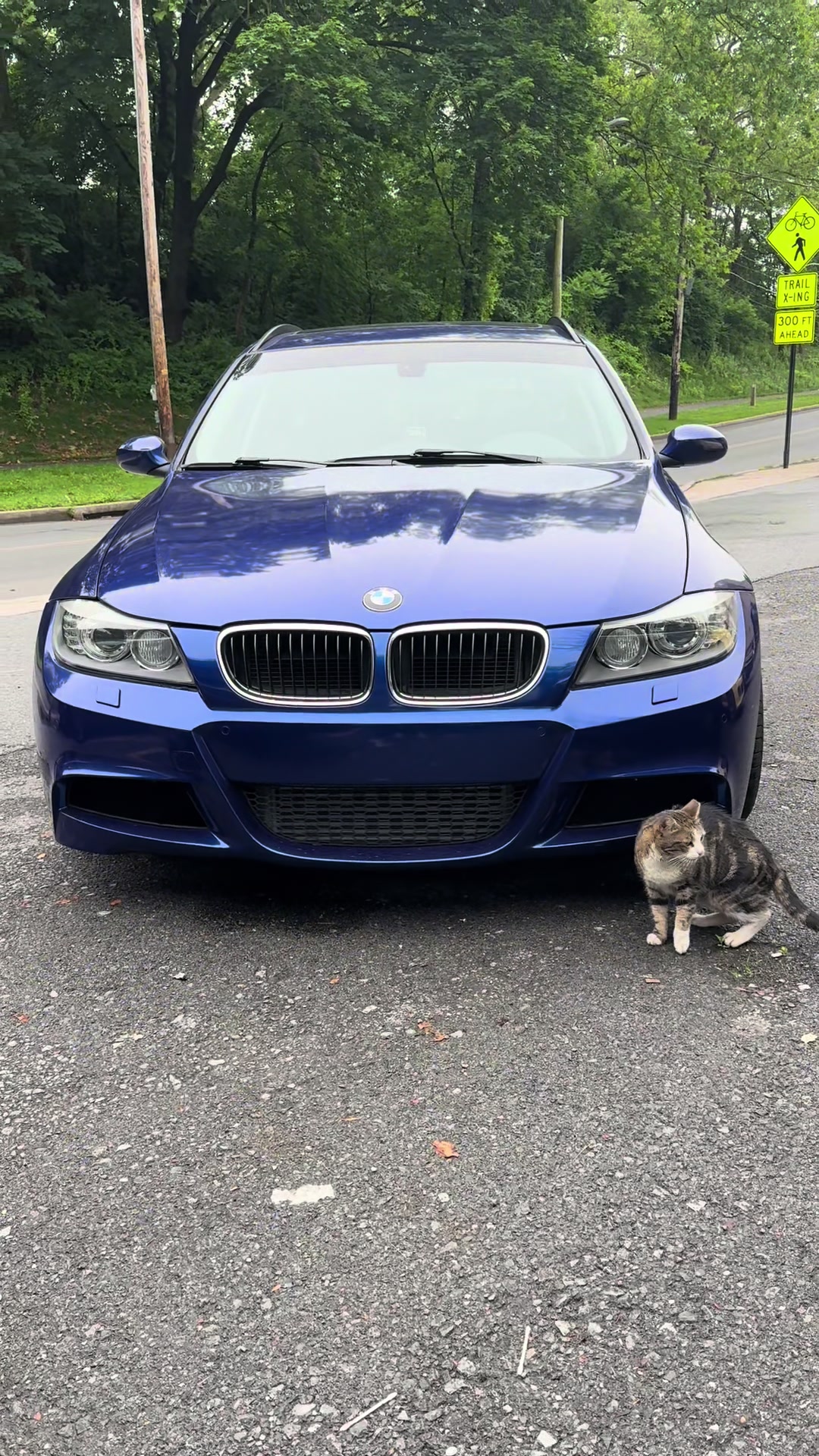 @The Bimmer Bros
