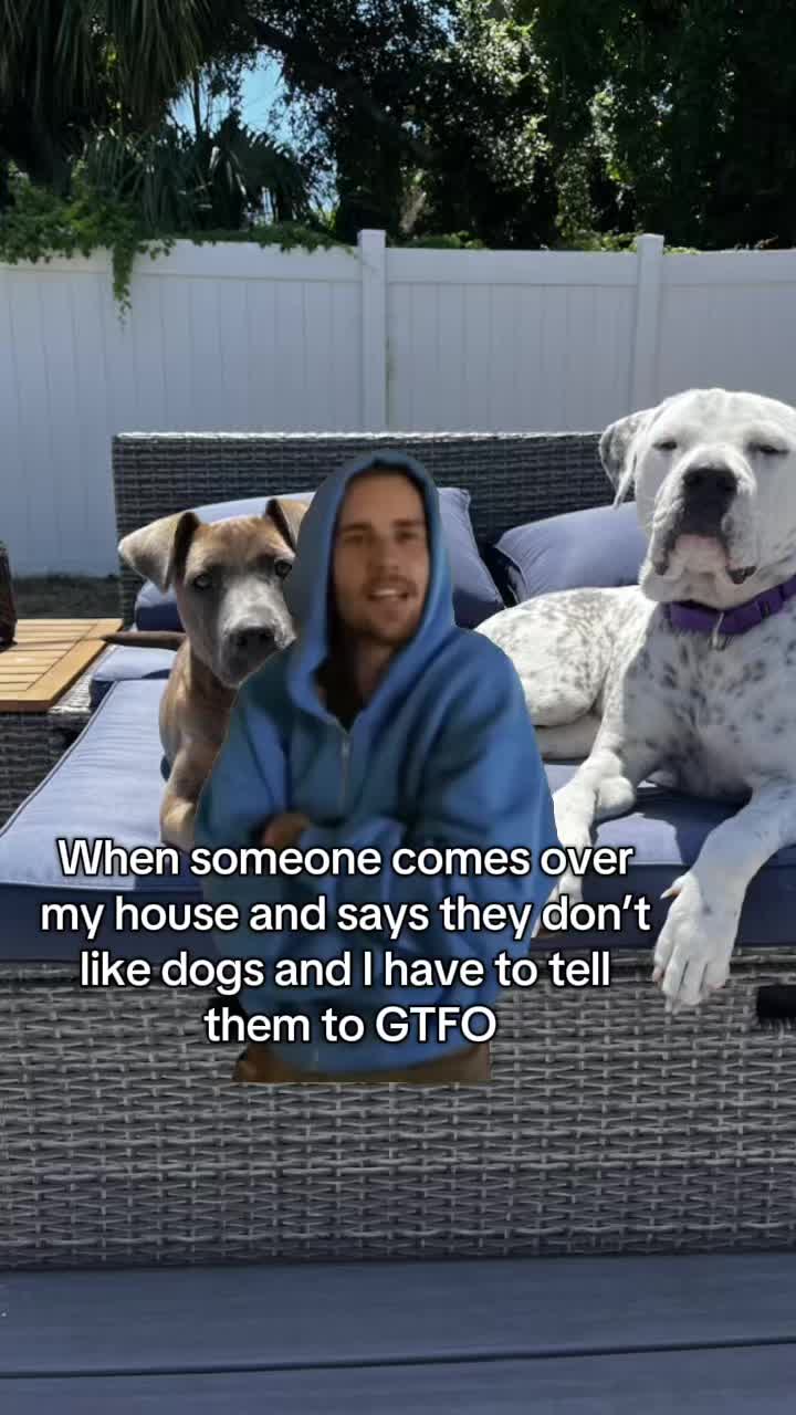 @lifewithstella