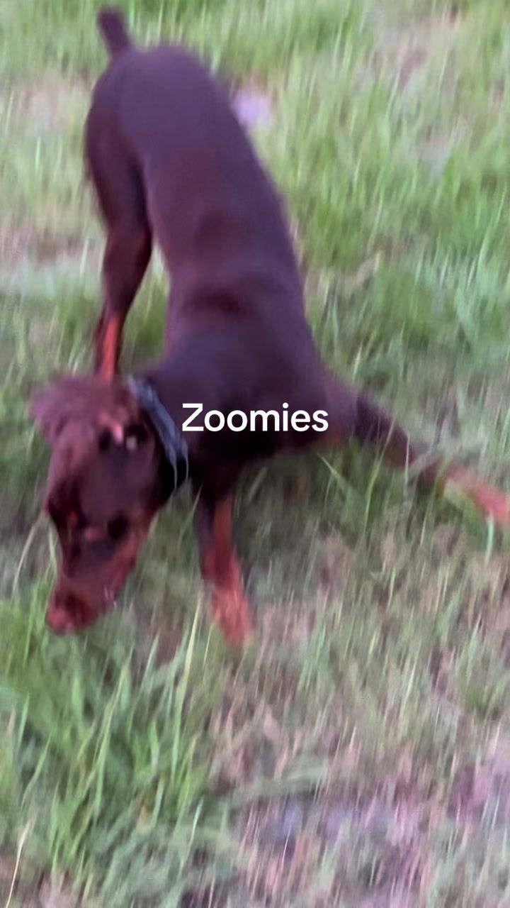 @Draco Banano