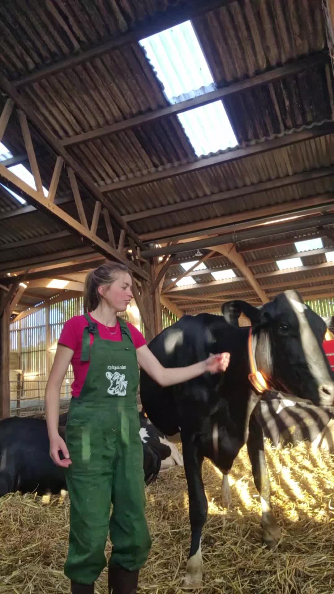 @C&eacute;line