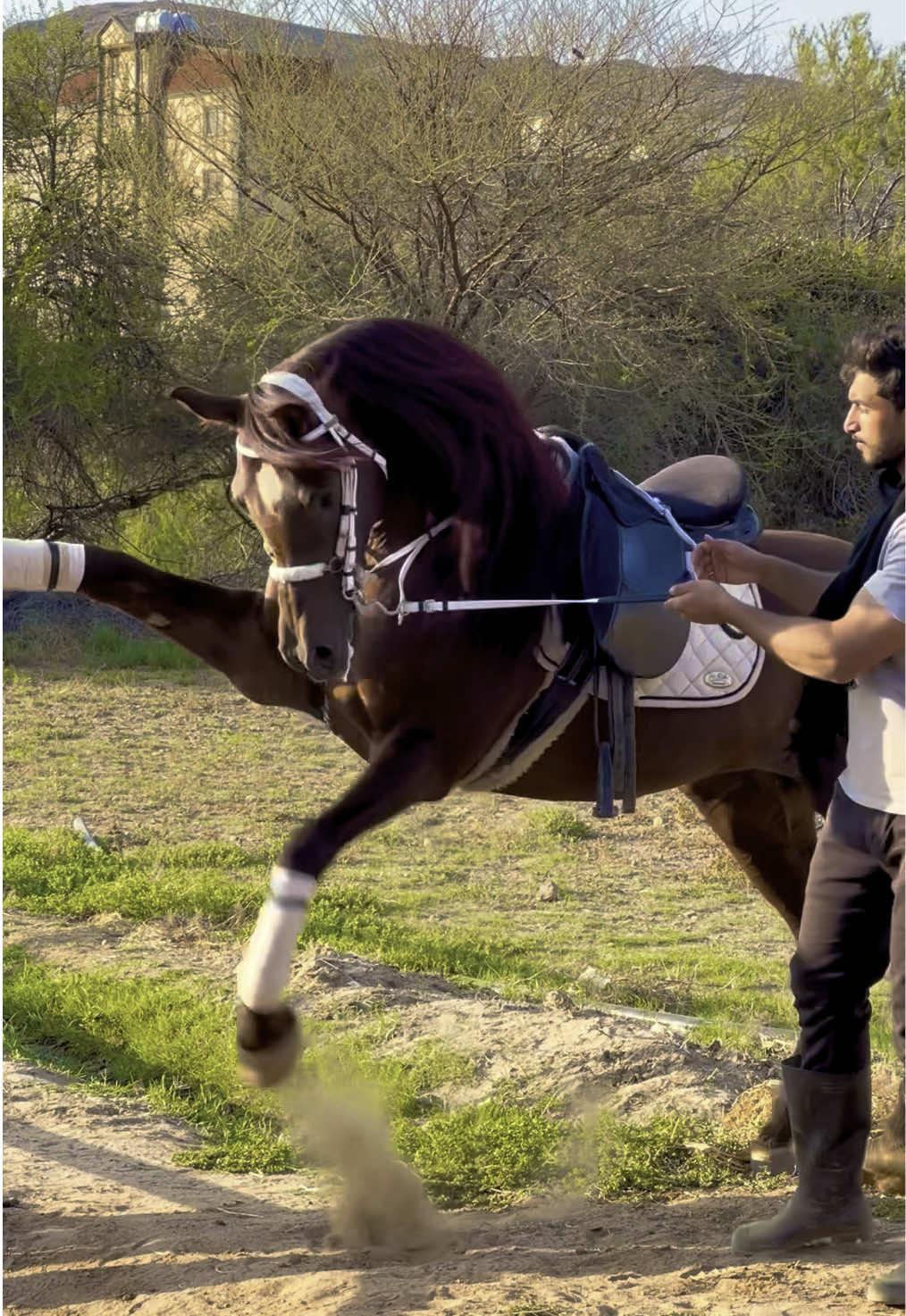 @بـاسـل الـوادعـي⭐️🐎