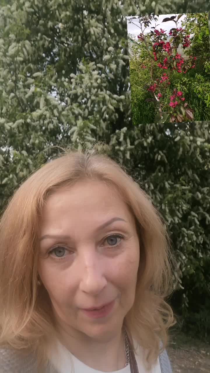 @Вера Калинина