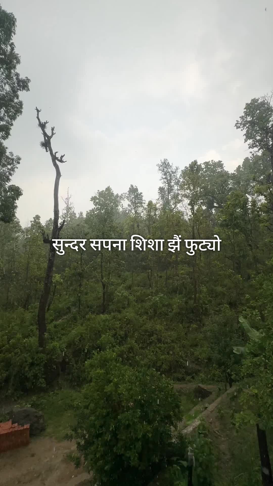 @Michael Sinha Official