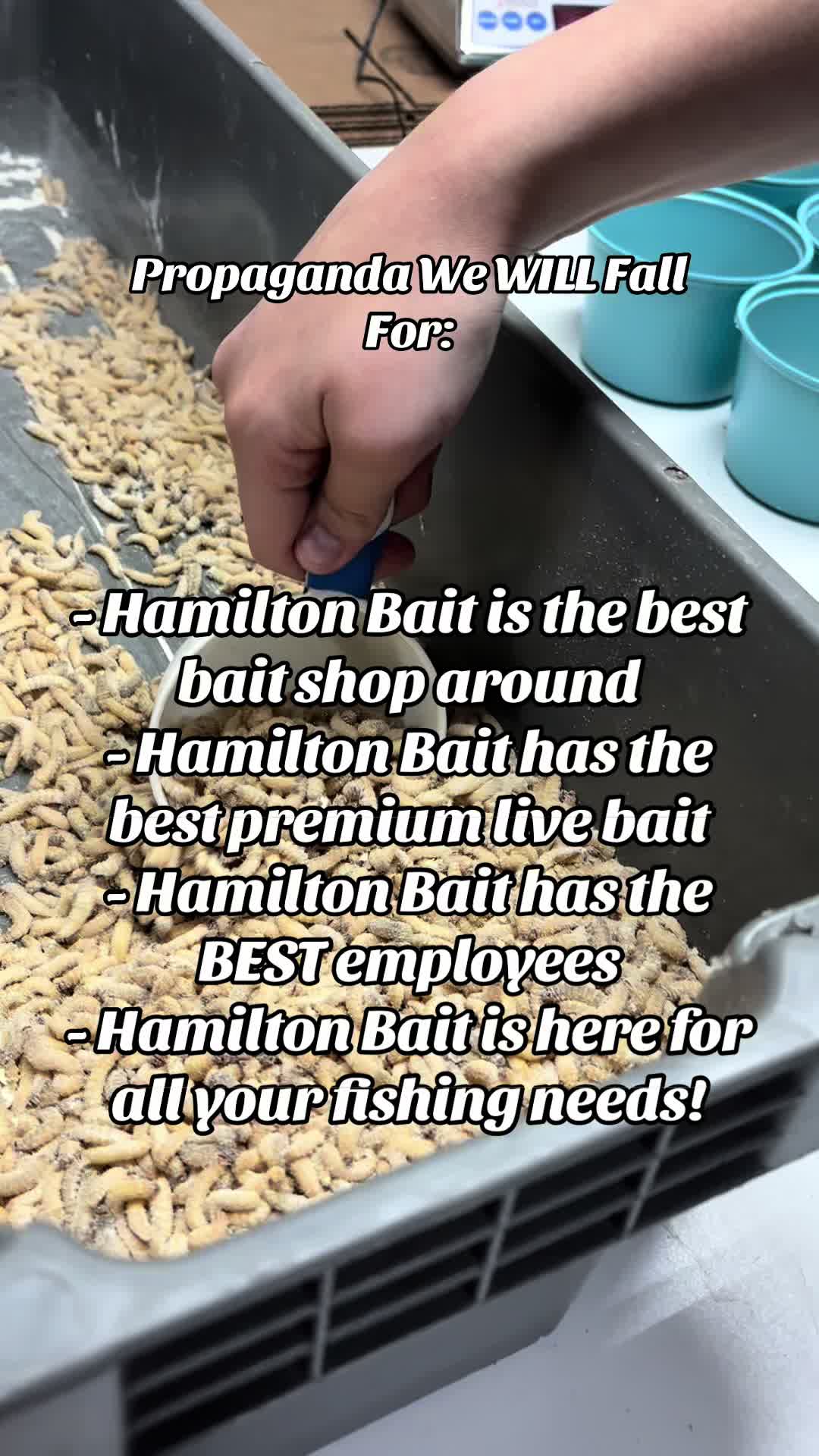 @Hamilton Bait & Tackle