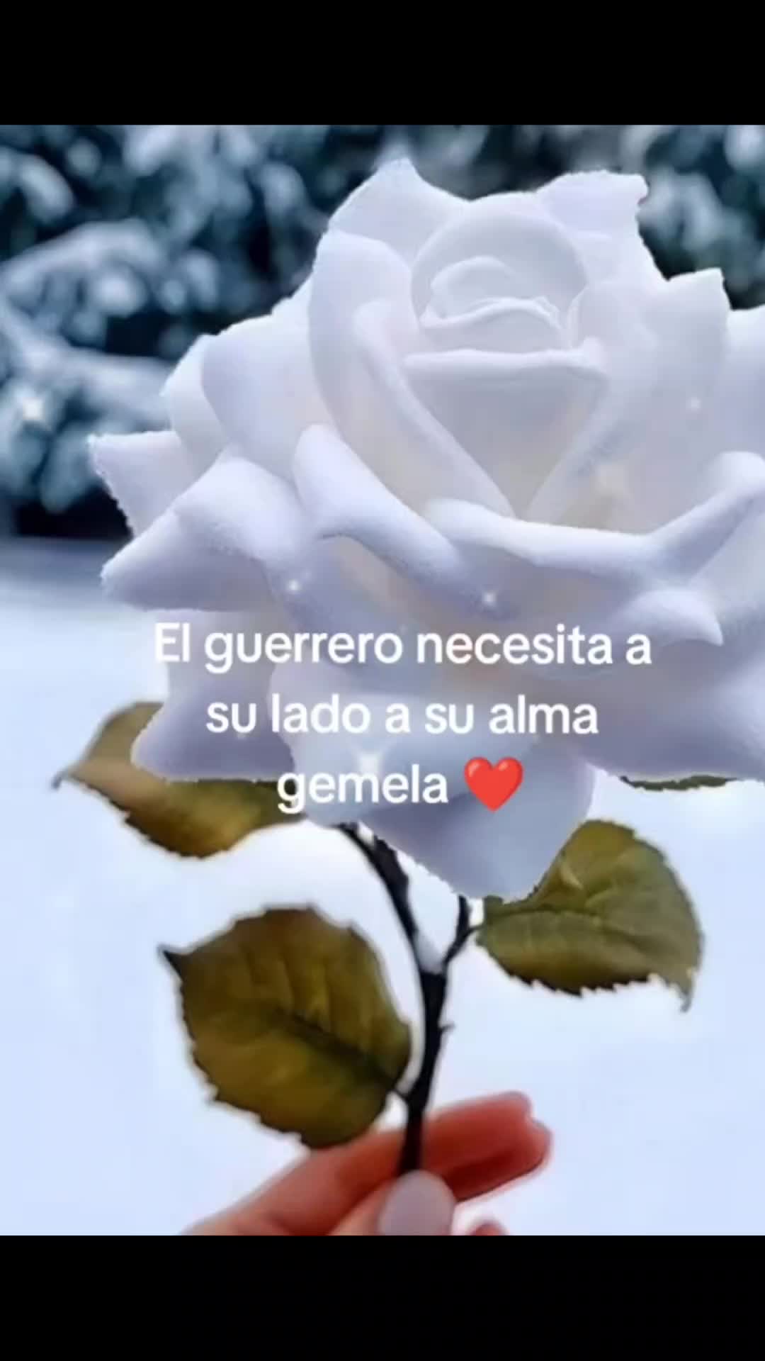 @Rocio35125