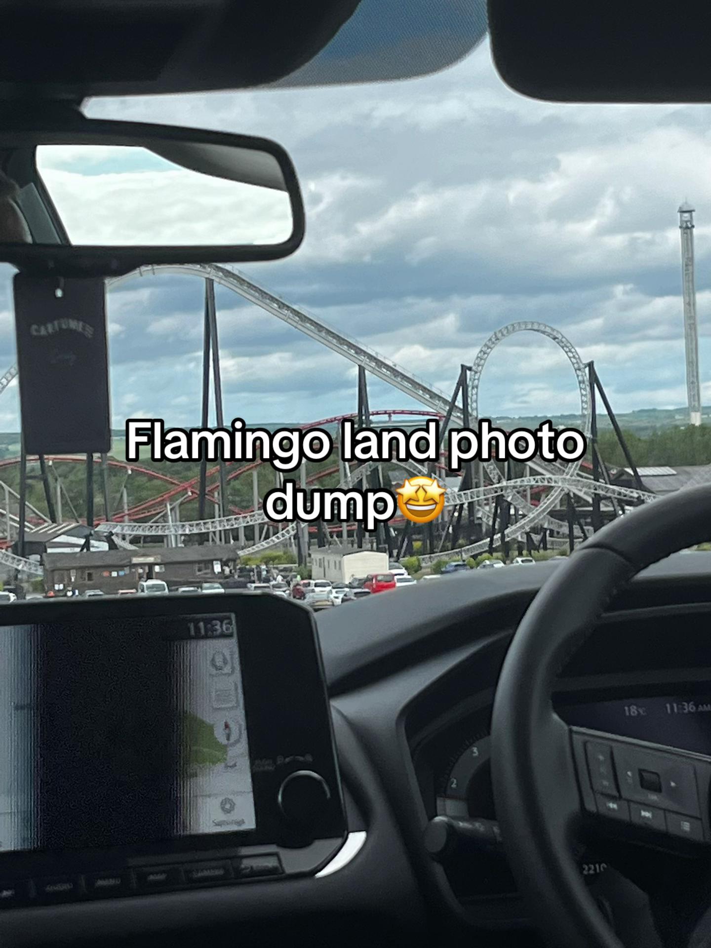 @liam161308