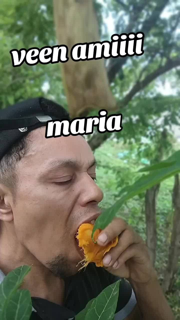 @MILBATALLAS😎