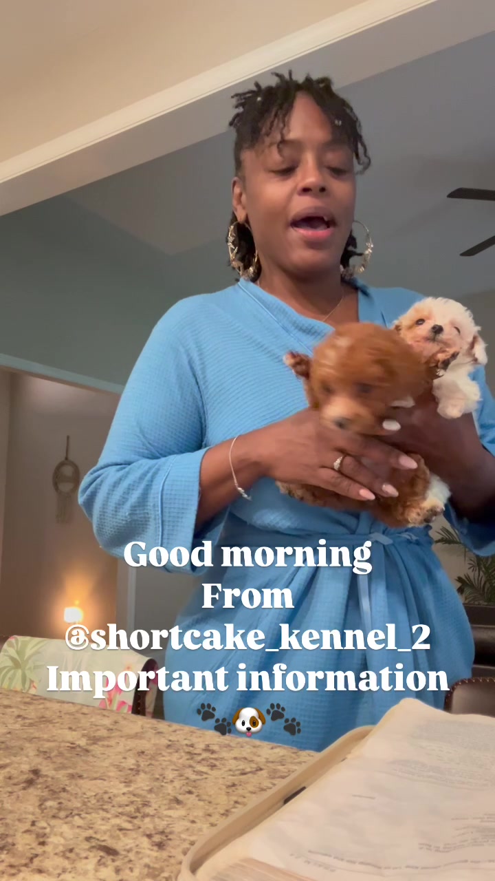 @Shortcake_kennel_2