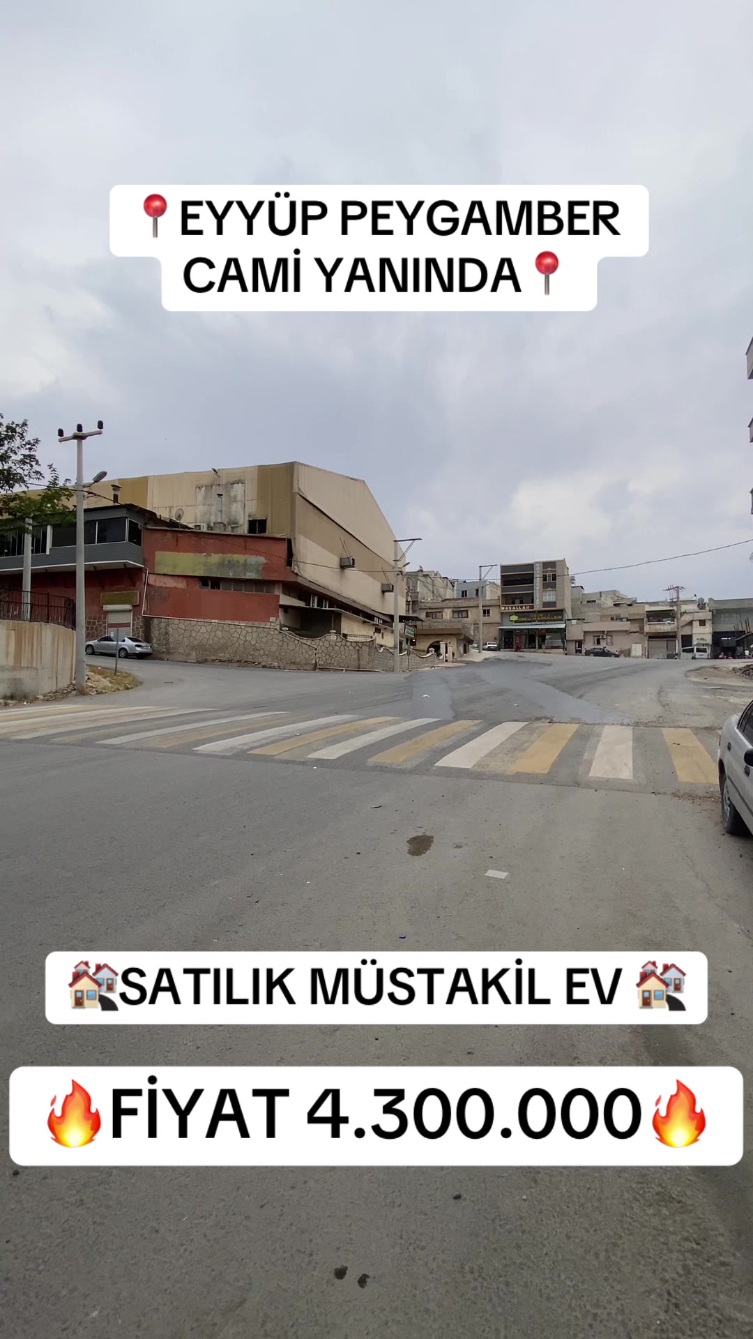 @👑 ŞEYHANLIOĞLU EMLAK 👑