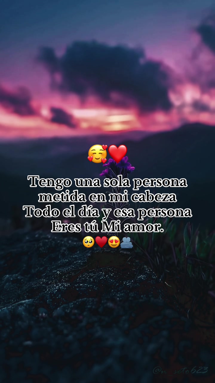@LUIS HERNANDEZ