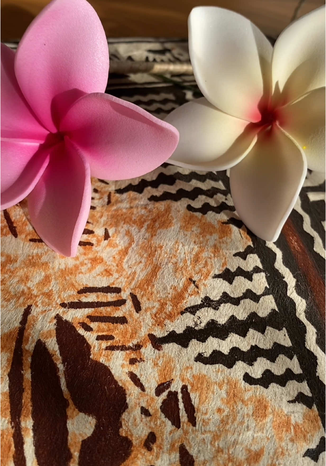 @Island Aesthetica 🌺 Pasifika