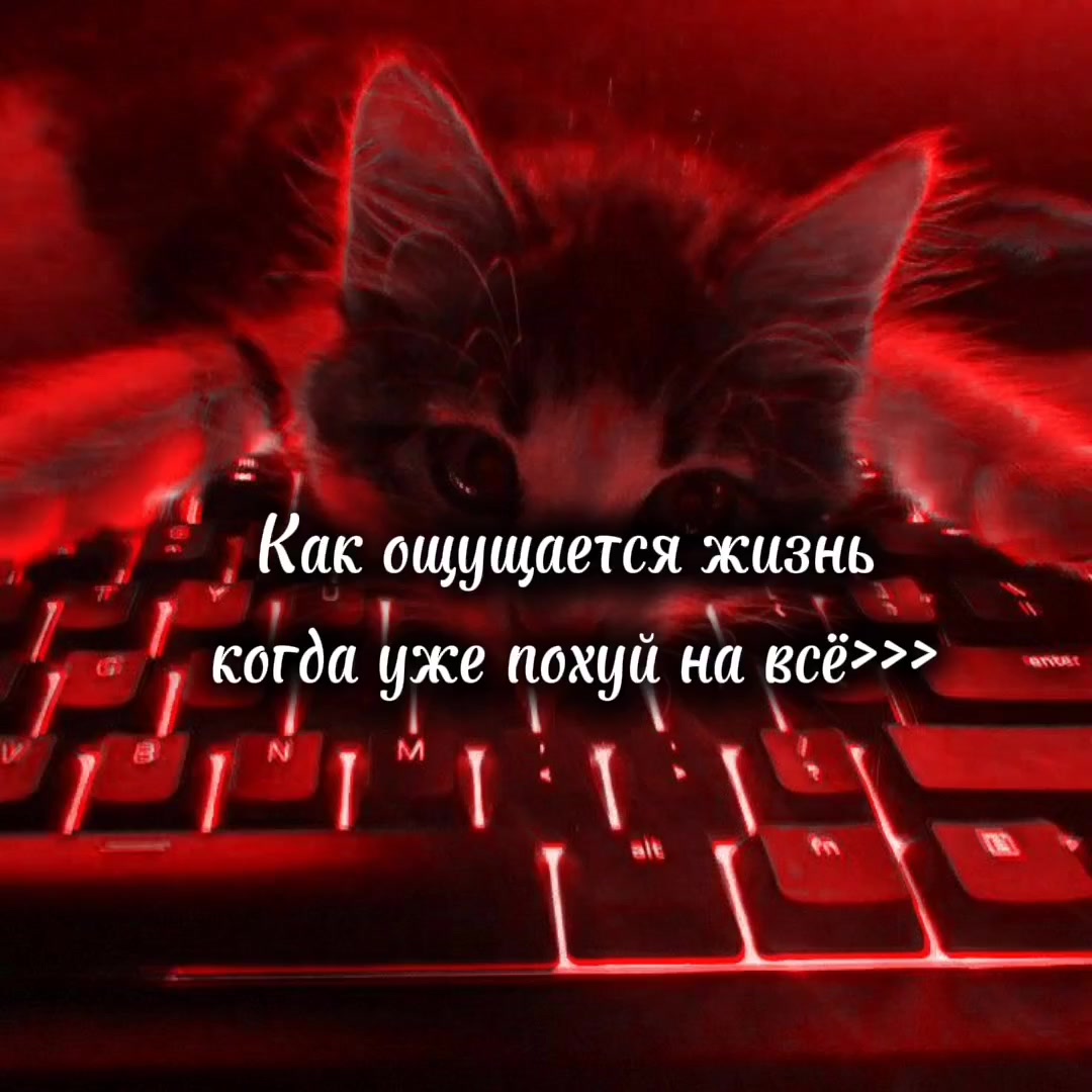 @~𝕲𝖗𝖚𝖘𝖙𝖓𝖞𝖞 𝖐𝖔𝖙𝖎𝖐~