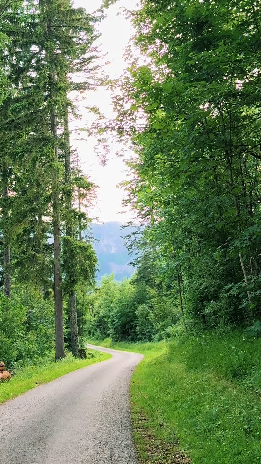 @Anastacia🇨🇭