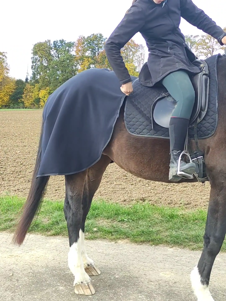 @Die Reitdecke