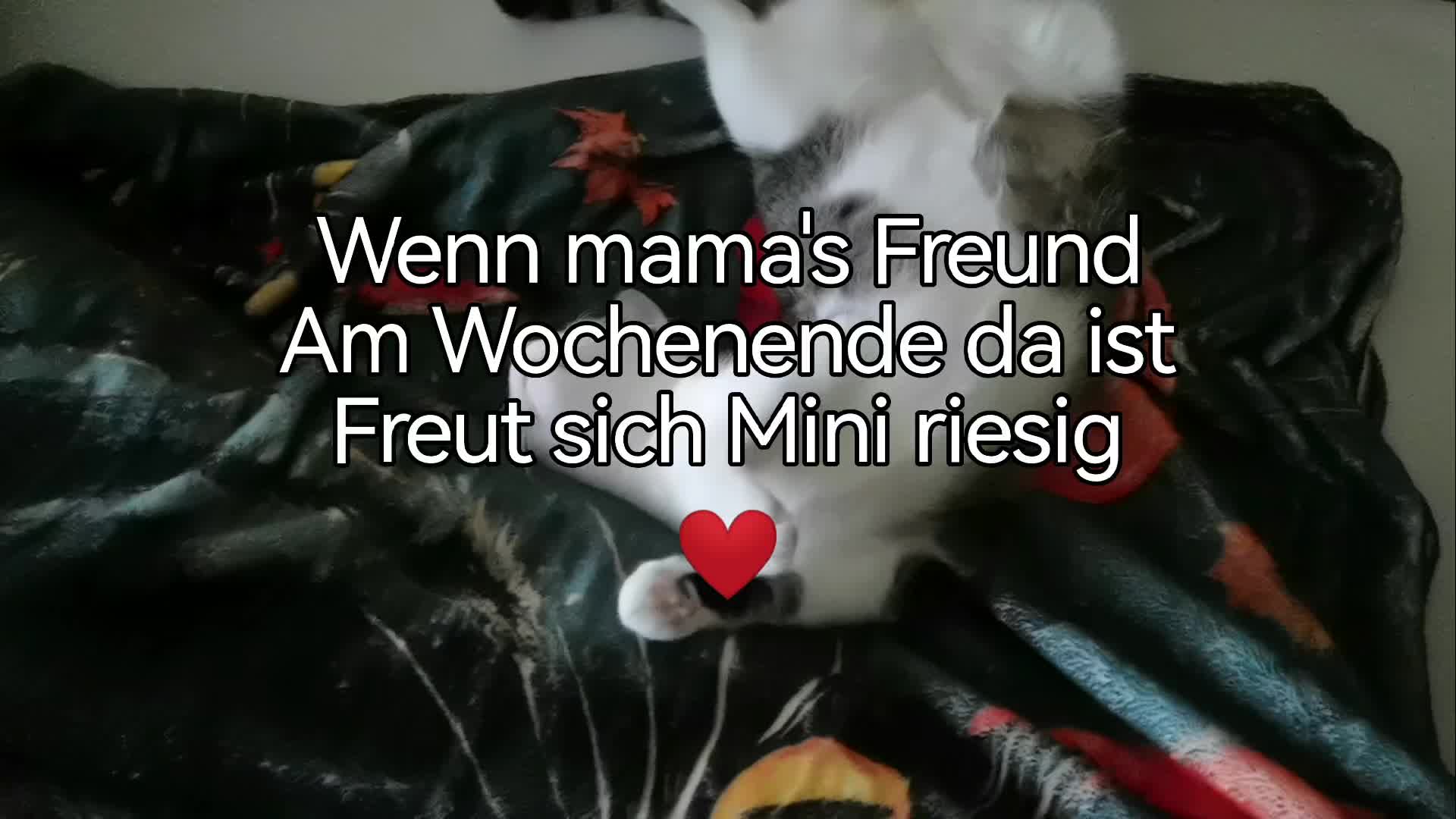 @juli🇩🇪🇺🇸🇷🇺