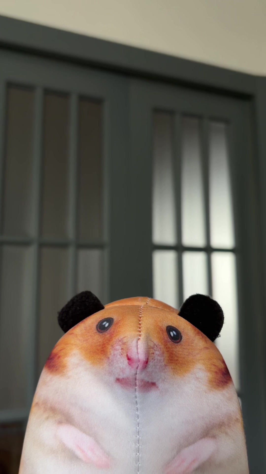 @БЛОПТОП