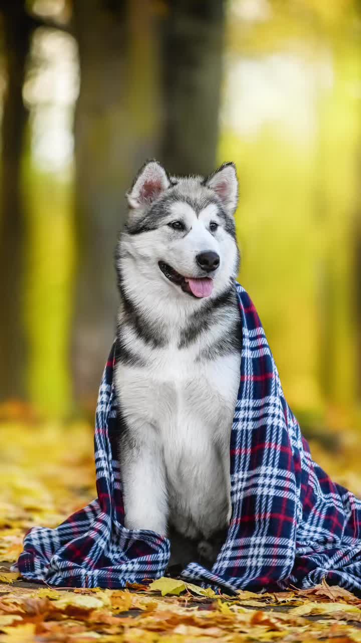 @Юлия Мистоева