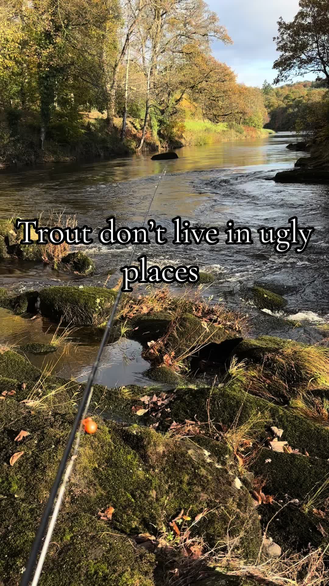 @dryflyguy15