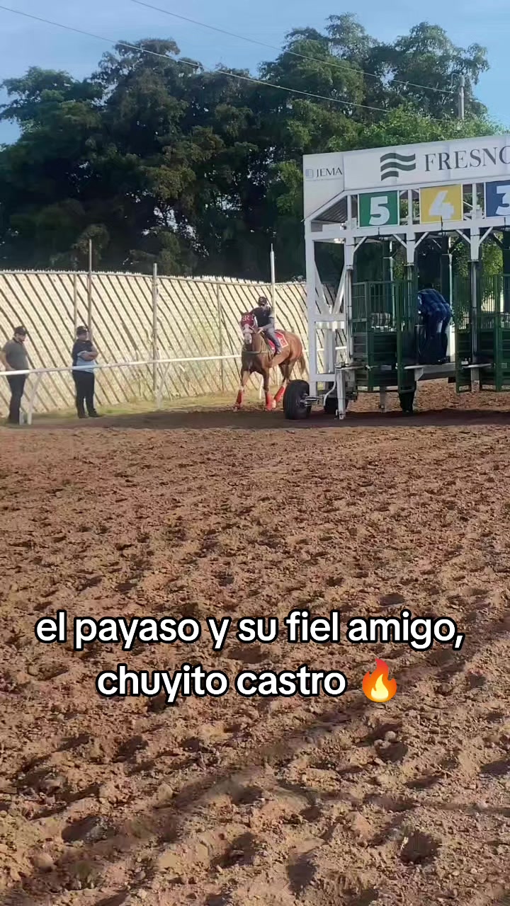 @carriles"altosdejalisco"🐎
