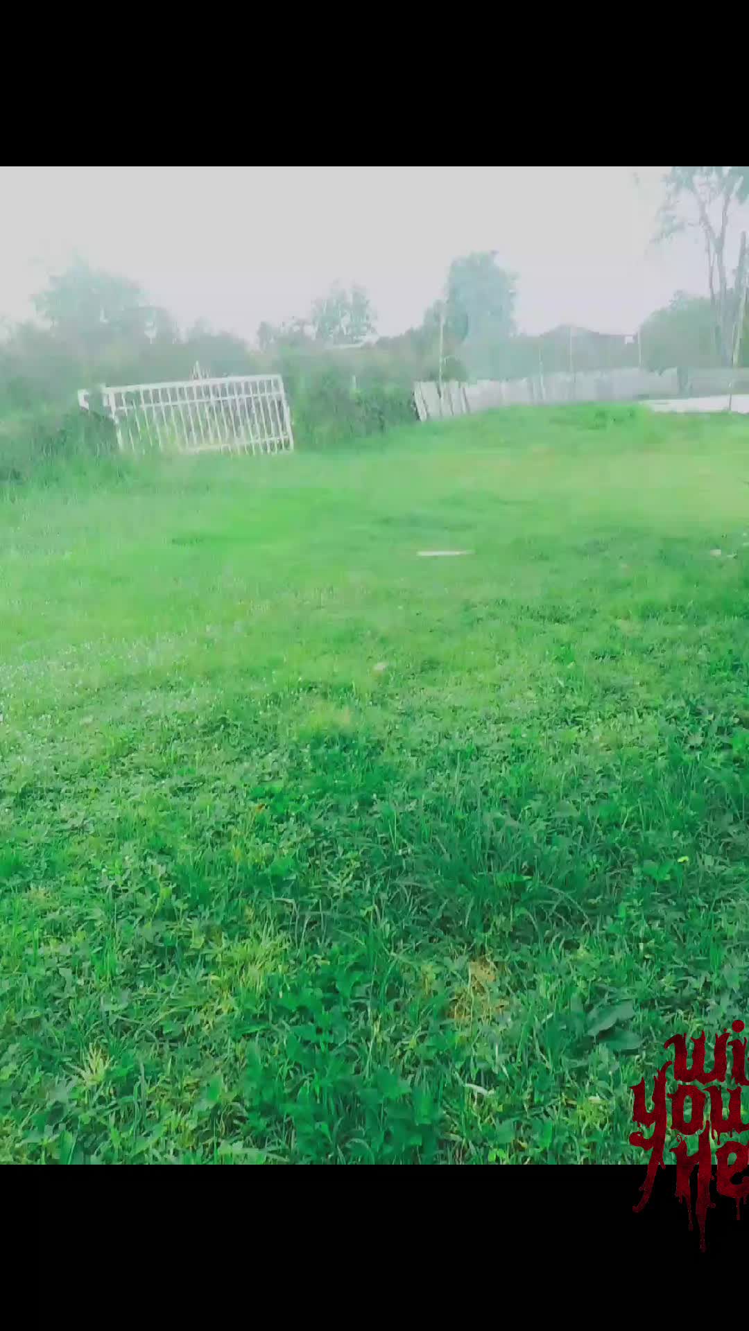 @我爱你🎭
