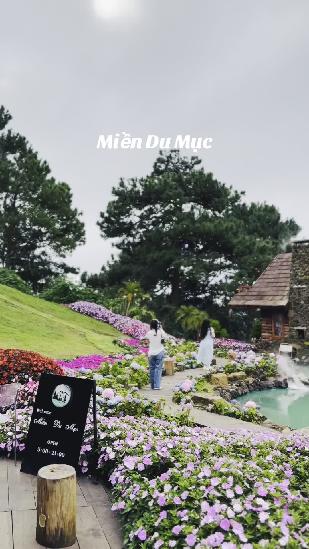 @C&uacute;c hoạ mi🍀