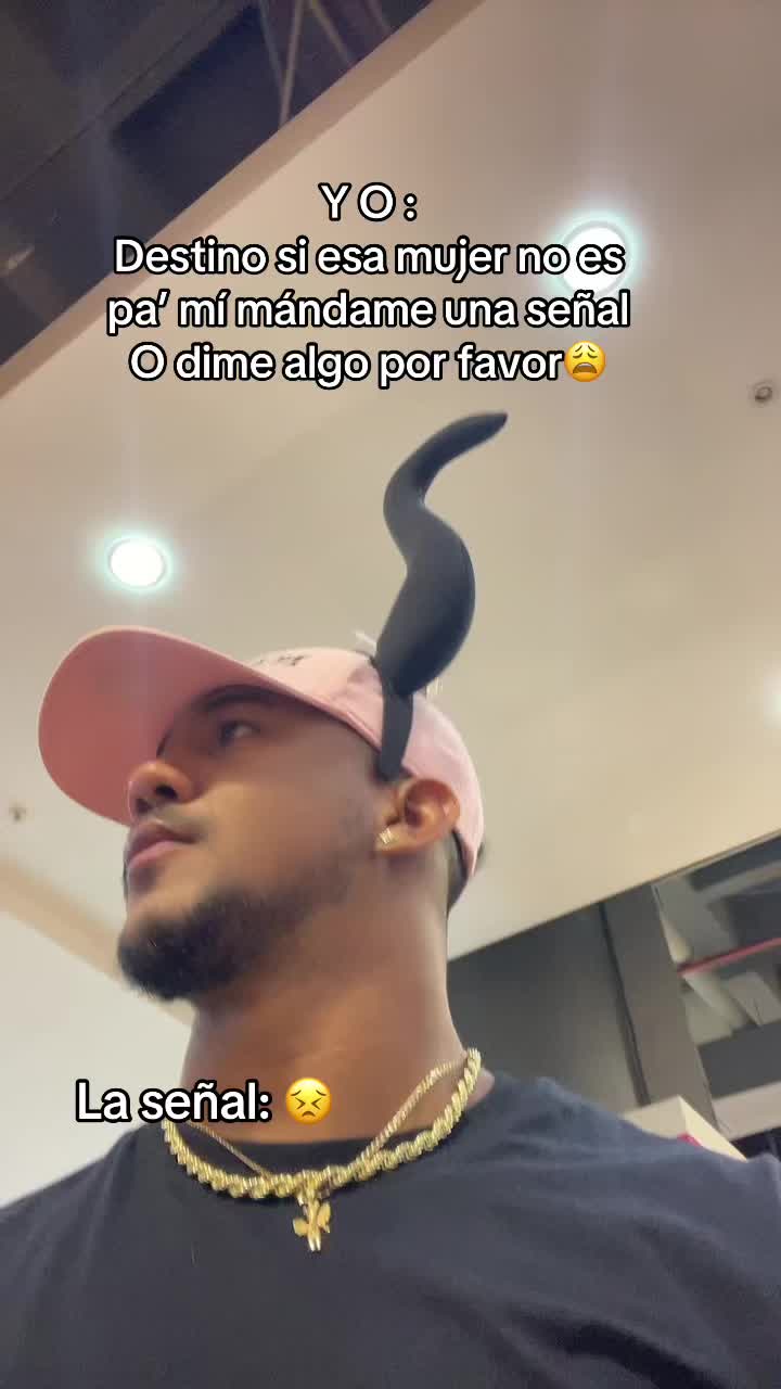 @HOSTIN🐻