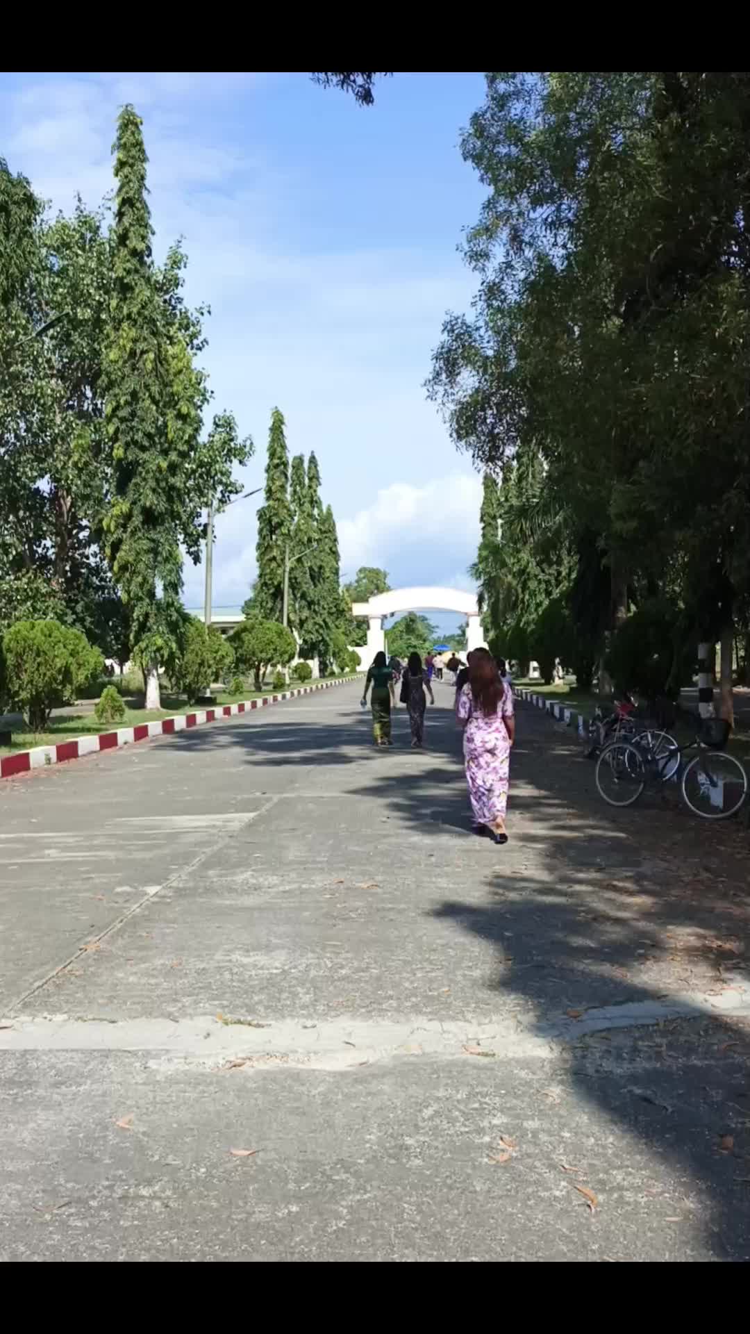 @🍀赛亨利🍀