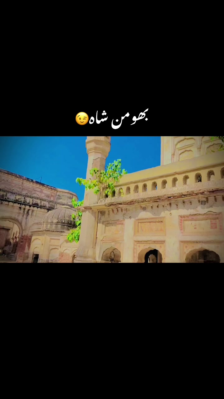 @ڈھکو بادشاہ🚩