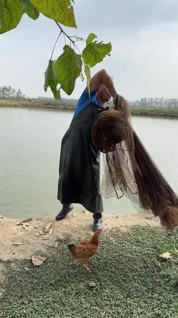 @wywangyu