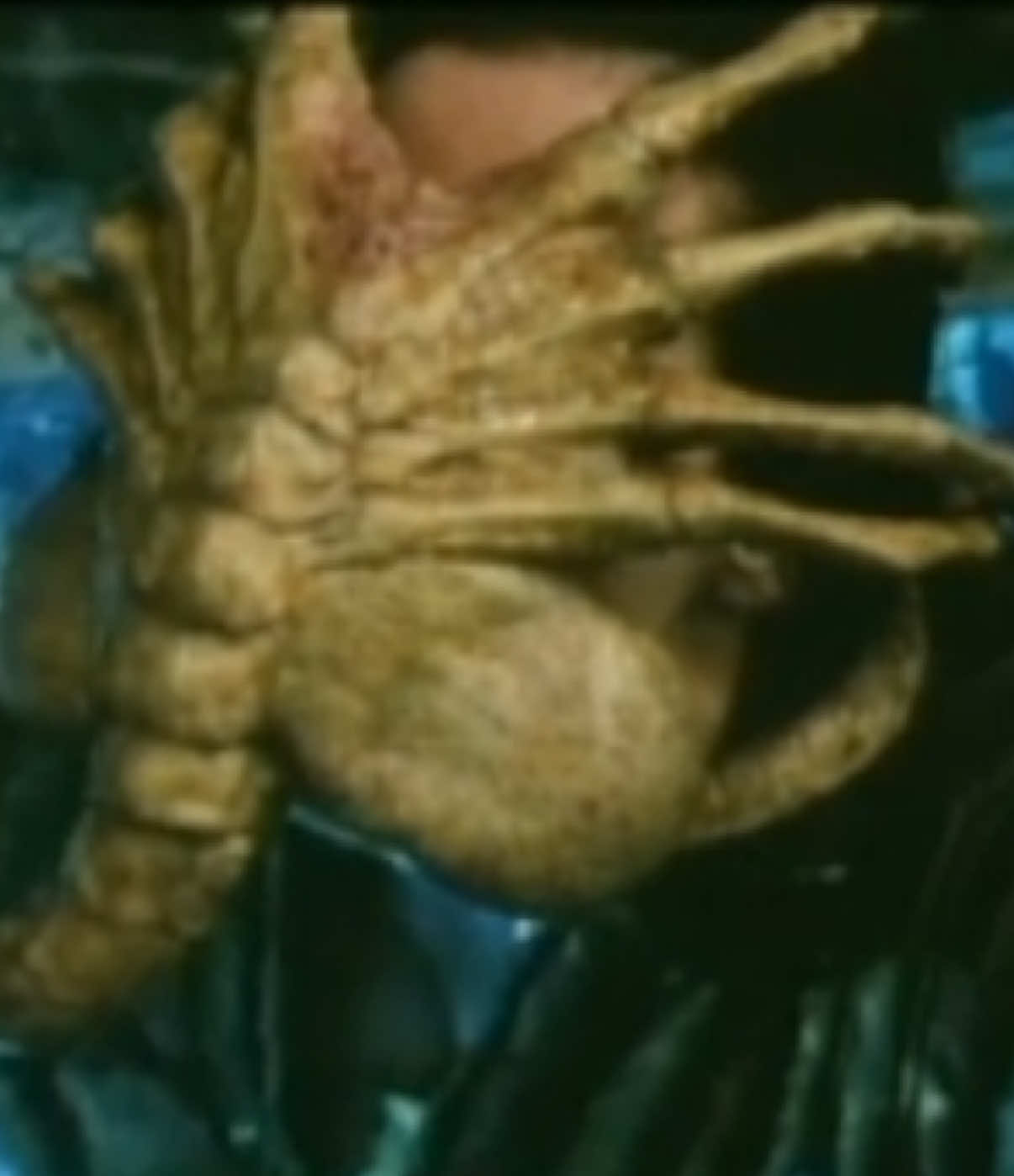 @Alien_Theory
