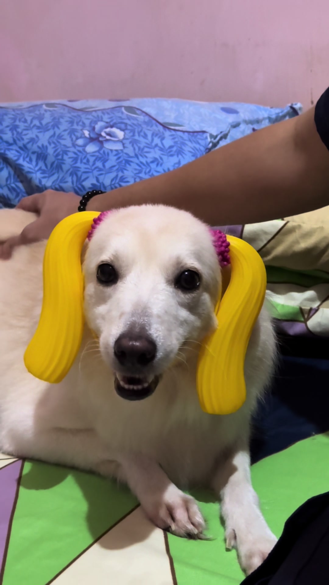 @estella.gandaaa