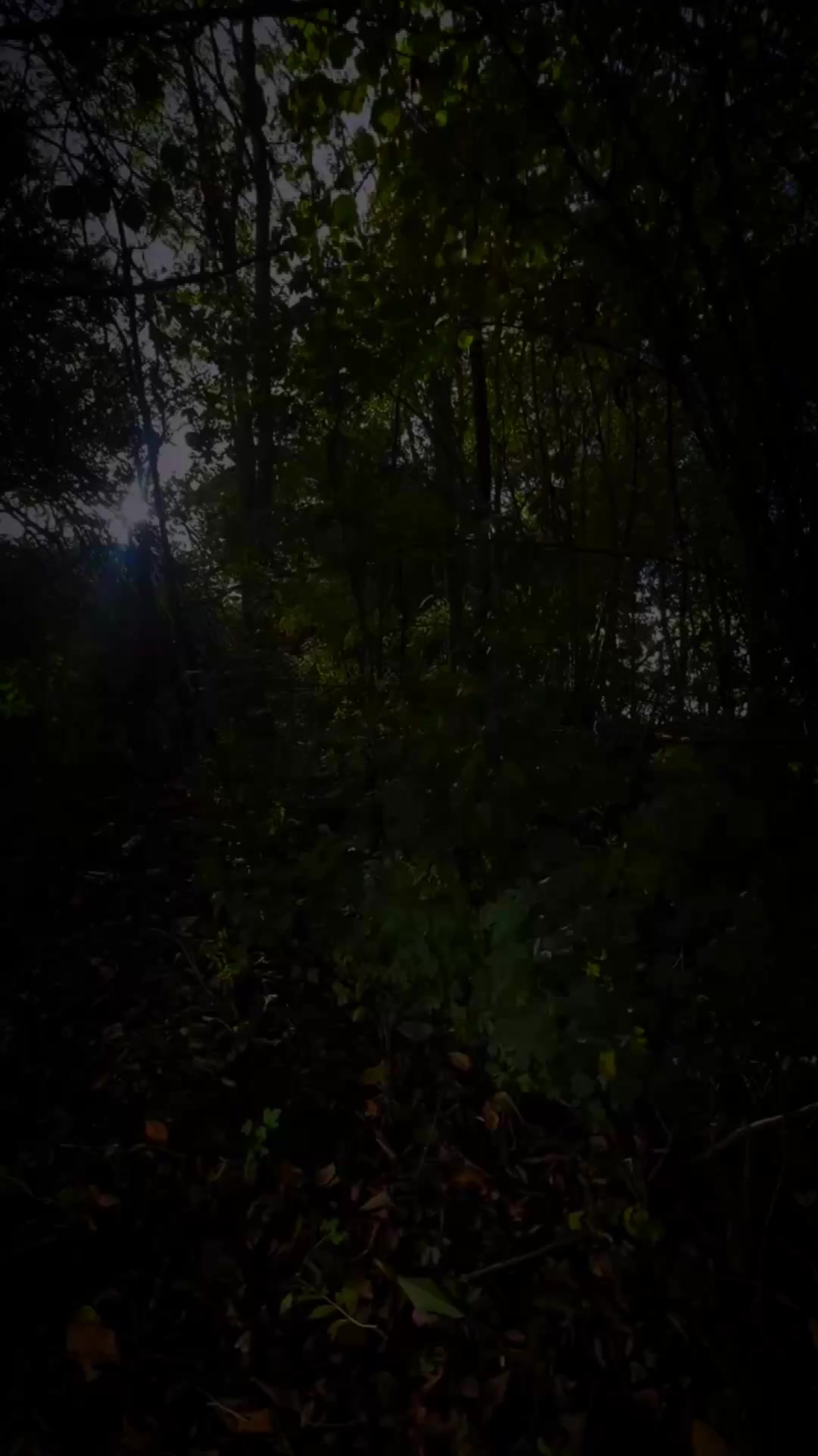 @𝓐.