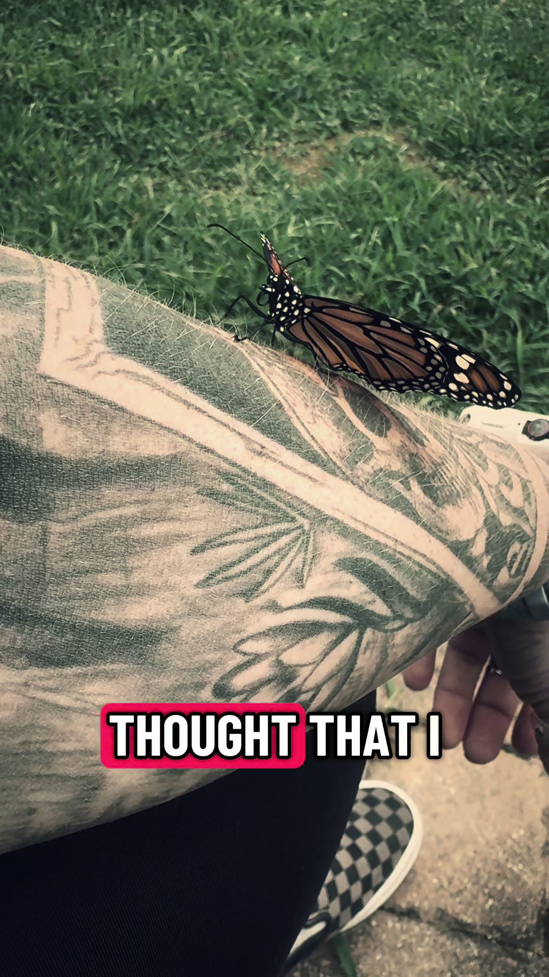 @_bonesnbutterflies_