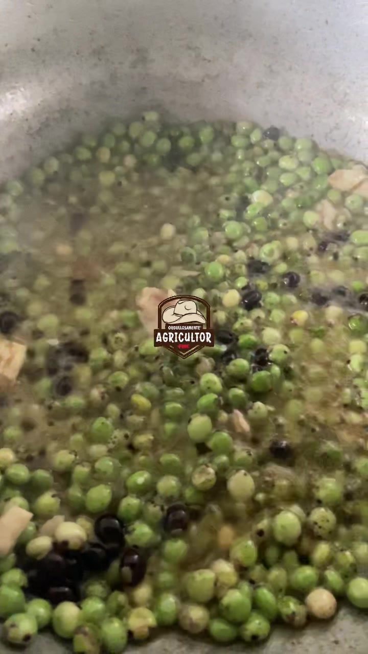 @🧑&zwj;🌾🤎🌱PAPA XEU🧑&zwj;🌾🤎🌱 C-4