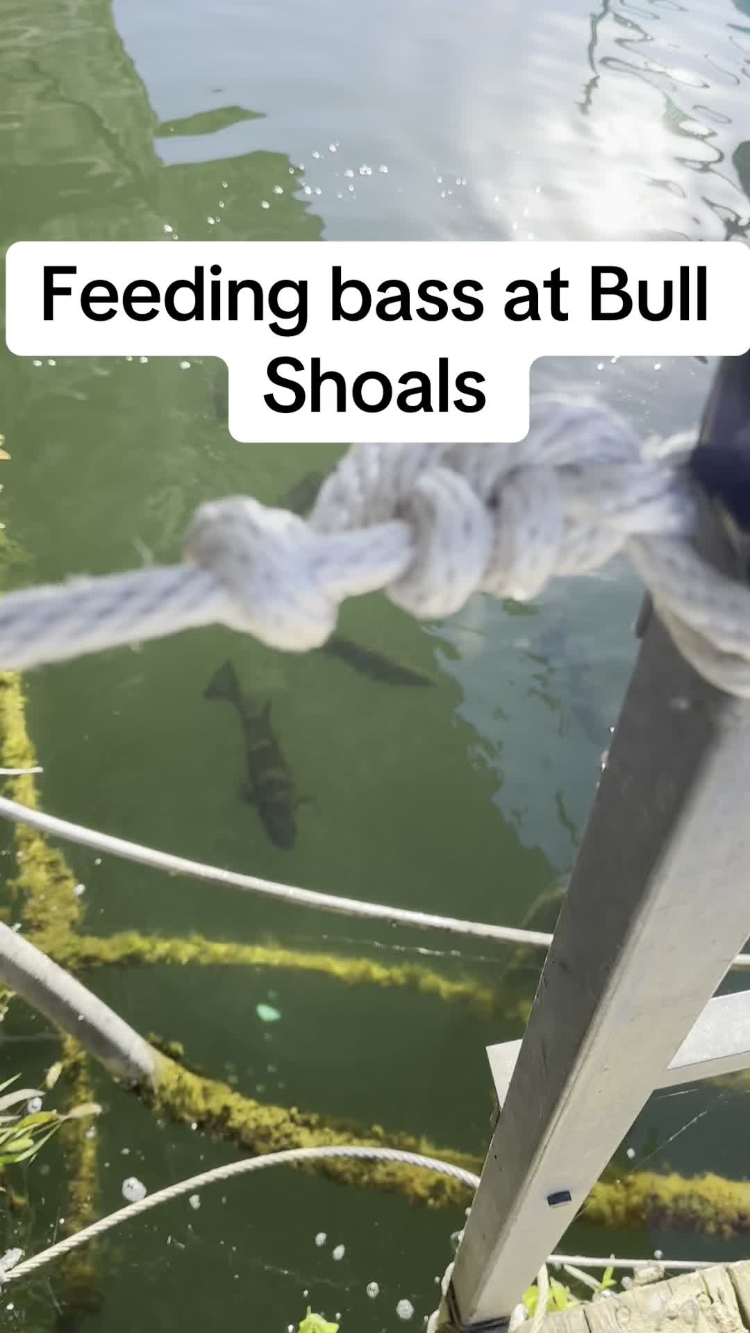 @Jleefishing