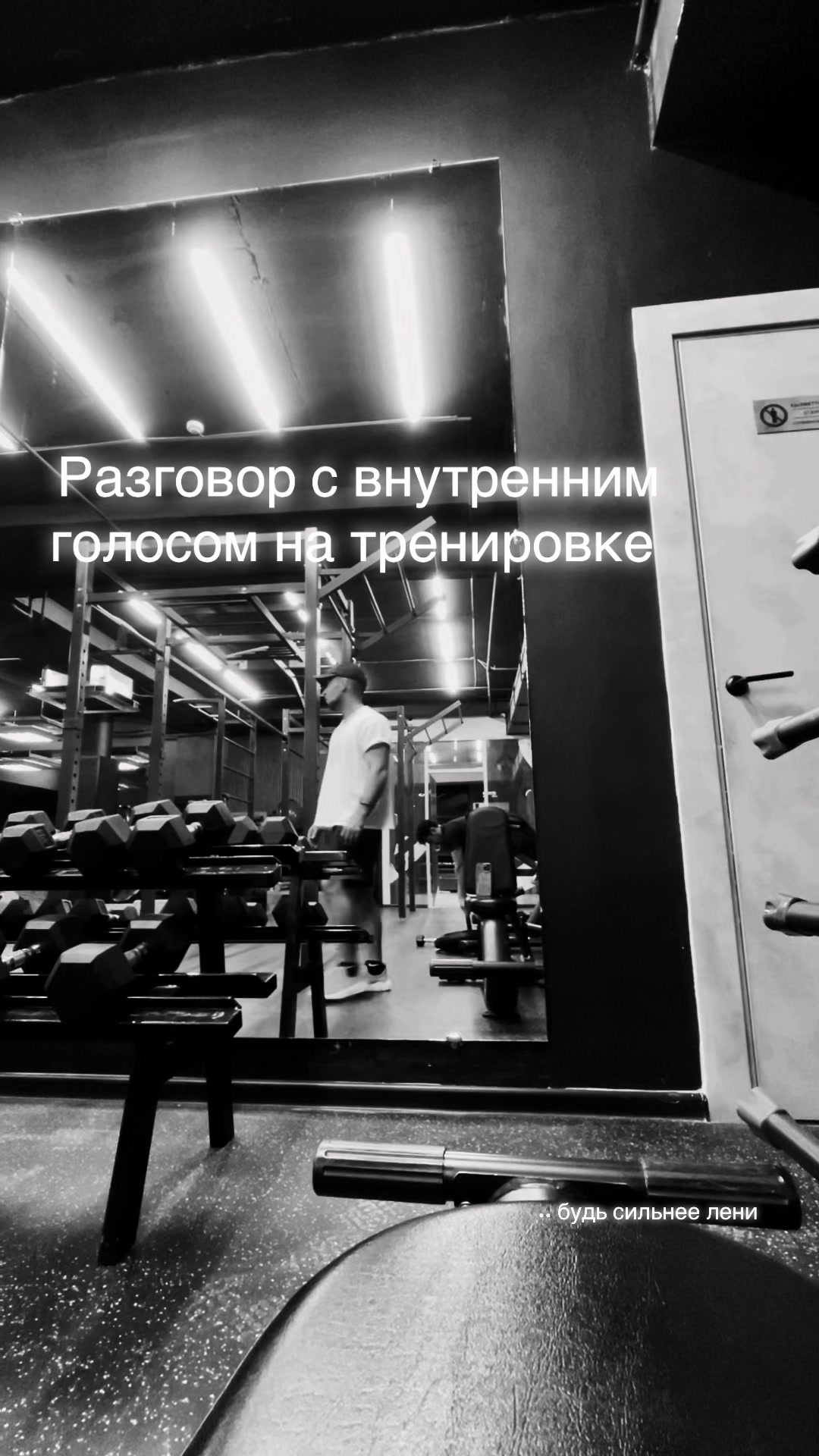 @donalexandrwin