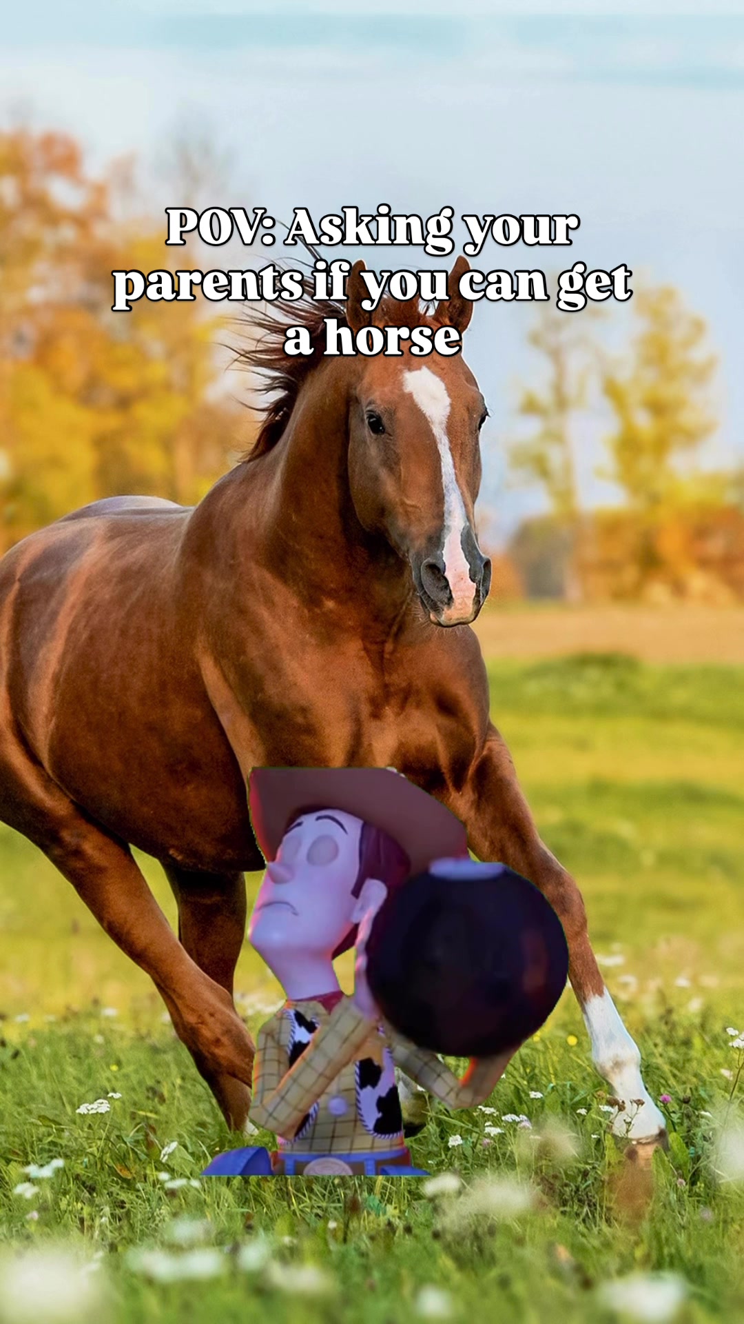 @Young Rider