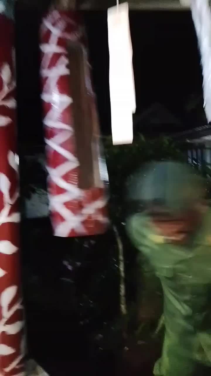 @HANSIPCORE
