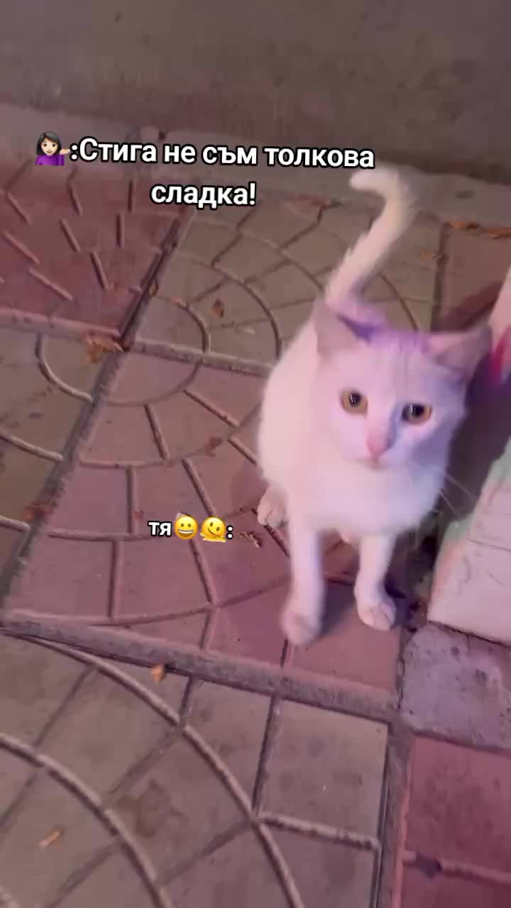 @user94350783106
