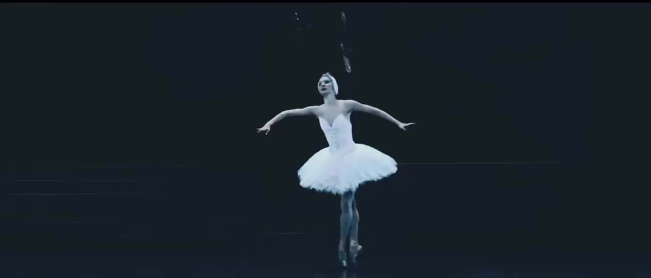 @kuis