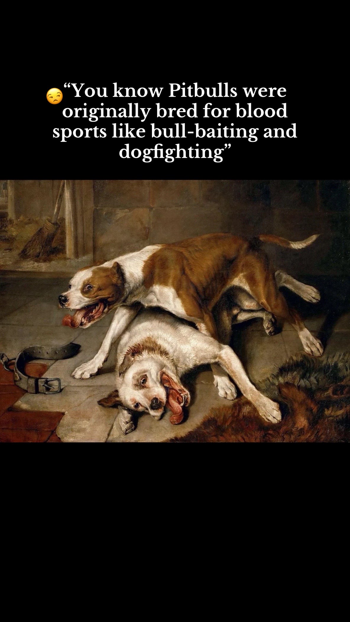 @This is 𝓙𝓪𝓶𝓲𝓮