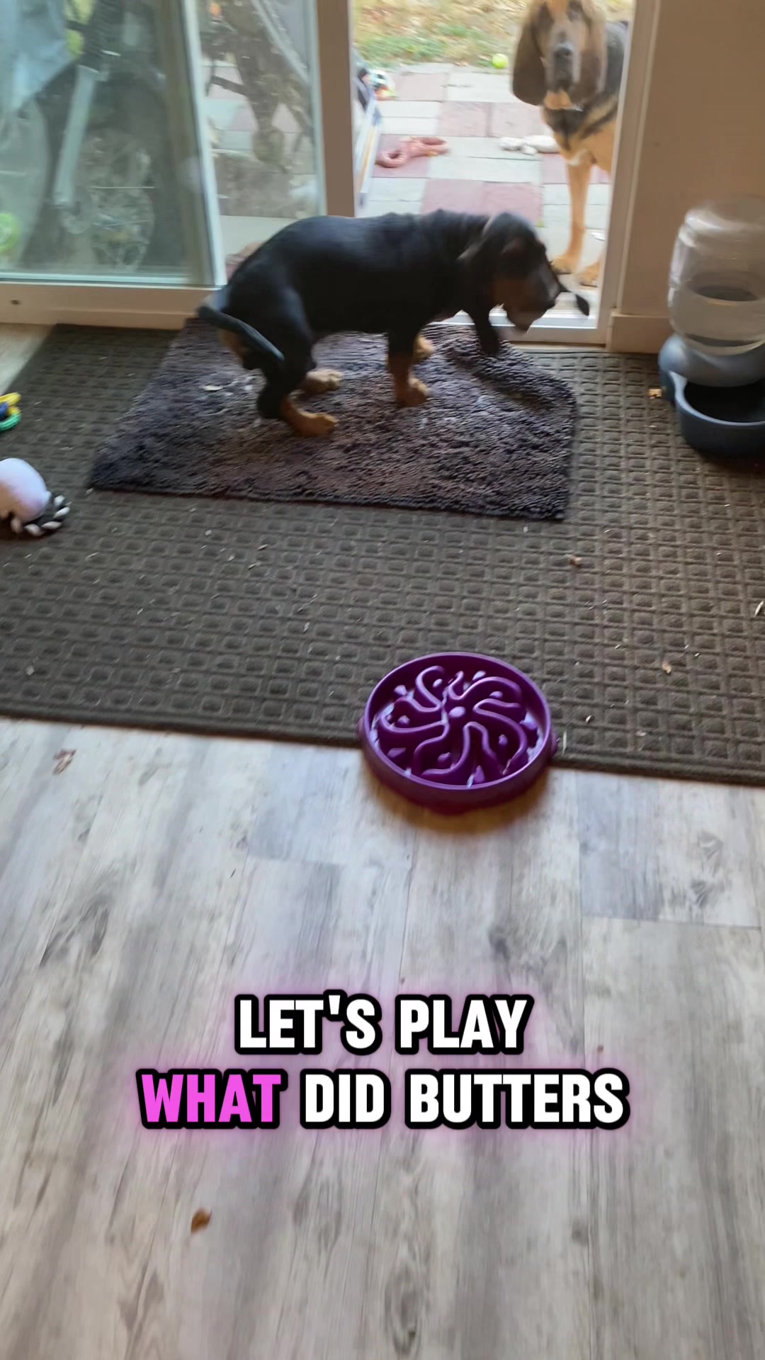 @ruledbyhounds