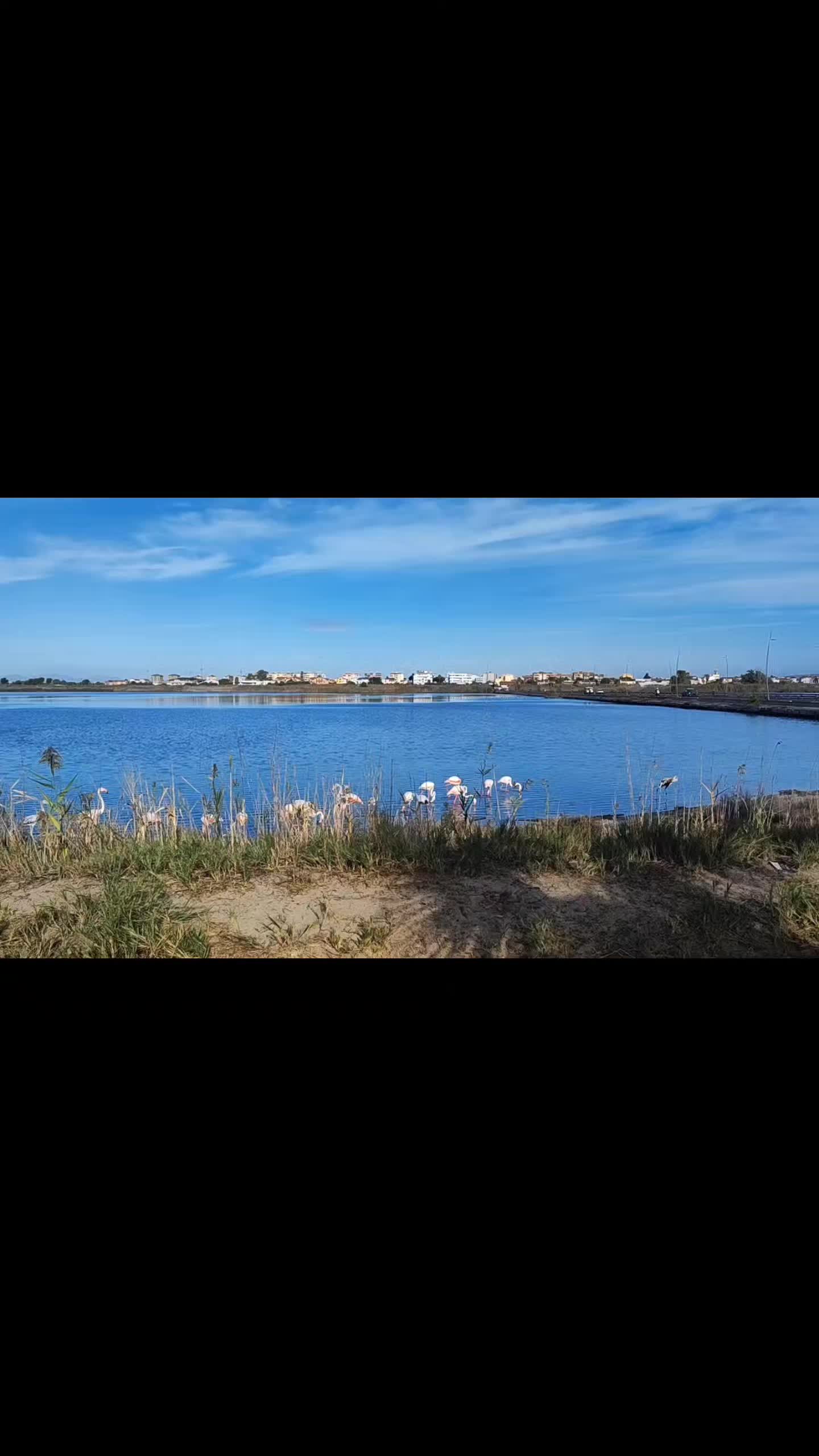@Reset_DaYa