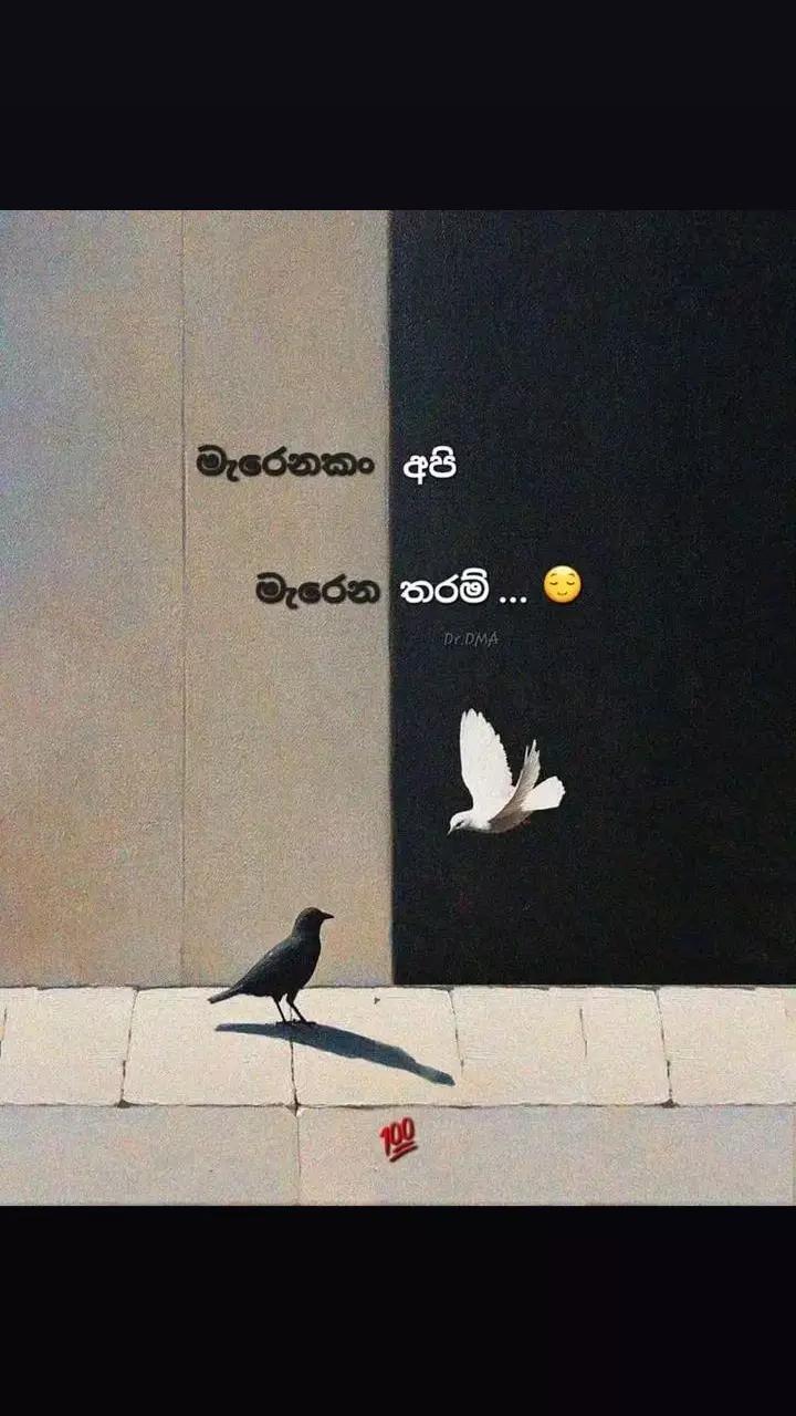@꧁𖤍king༒ලොකුเ༒මහී༒𖤍꧂